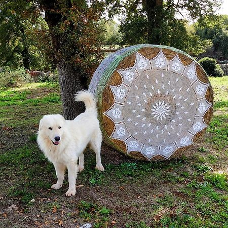 Materiis Villa Noci Dış mekan fotoğraf