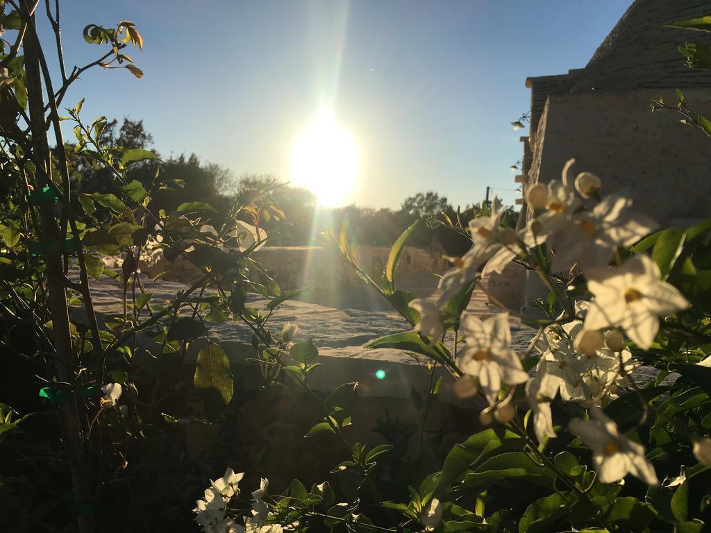 Materiis Villa Noci Dış mekan fotoğraf